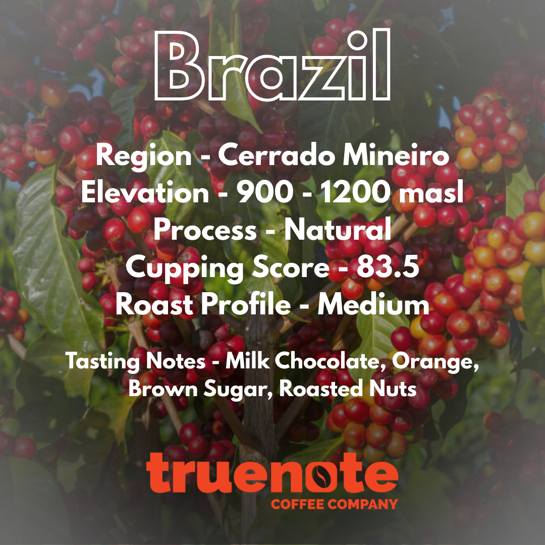 Brazil – Cerrado Mineiro 340 gm