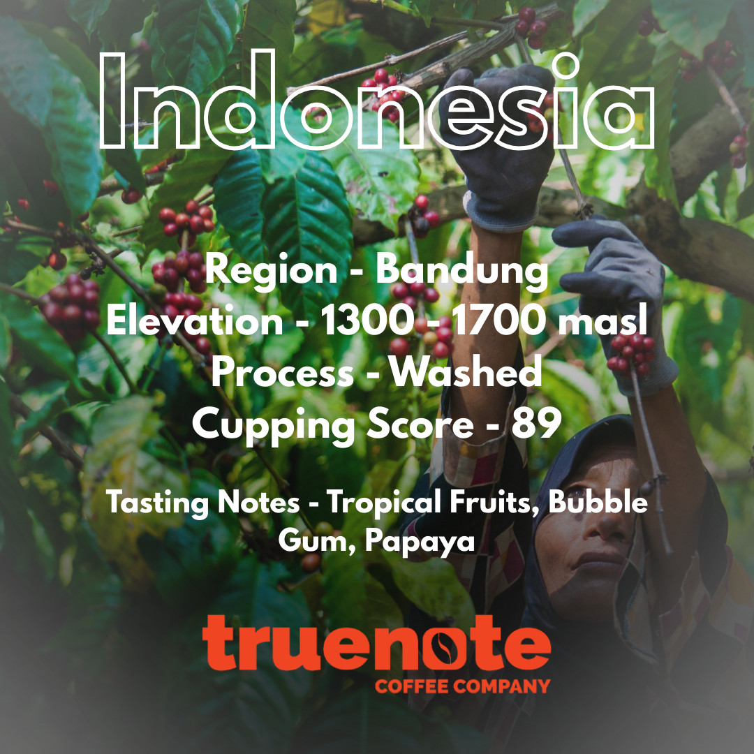 Indonesia – Bandung 250 gm