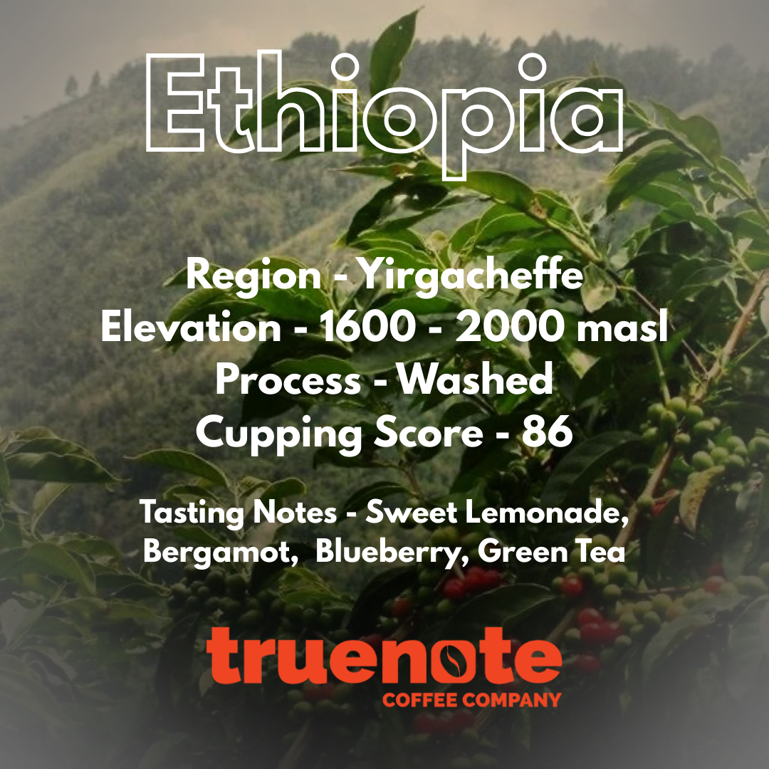 Ethiopia – Yirgacheffe 340 gm