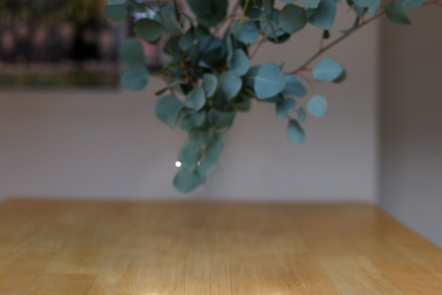 Kalita Wave